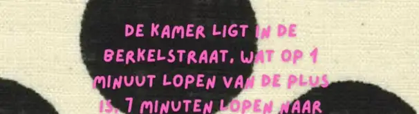 Kamer Foto #1 te huur bij Huurstunt