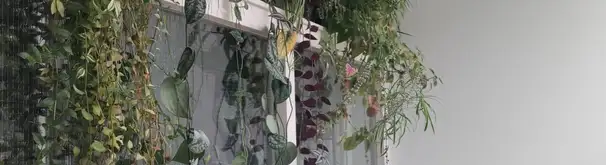 Huurwoning Foto #1 te huur bij Huurstunt