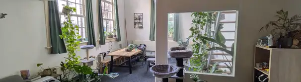 Appartement Foto #1 te huur bij Huurstunt