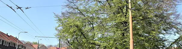 Kamer Foto #1 te huur bij Huurstunt