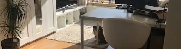 Kamer Foto #1 te huur bij Huurstunt