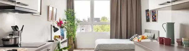 Studio Foto #0 te huur bij Huurstunt