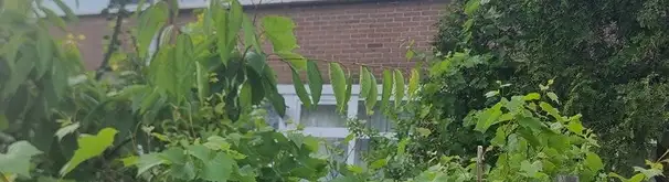 Kamer Foto #3 te huur bij Huurstunt