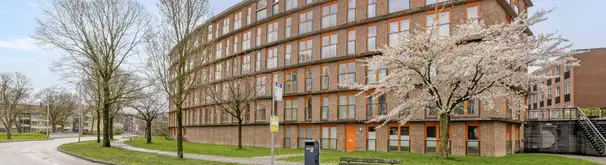 Appartement Foto #0 te huur bij Huurstunt