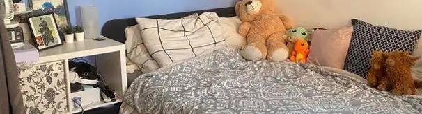 Kamer Foto #3 te huur bij Huurstunt