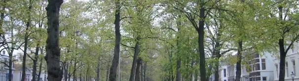 Appartement Foto #2 te huur bij Huurstunt