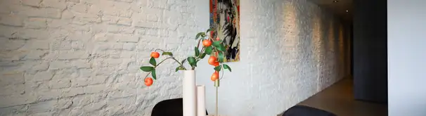 Appartement Foto #3 te huur bij Huurstunt