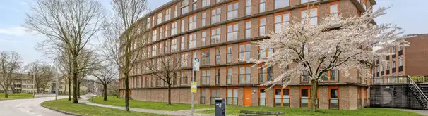 Appartement Foto #0 te huur bij Huurstunt