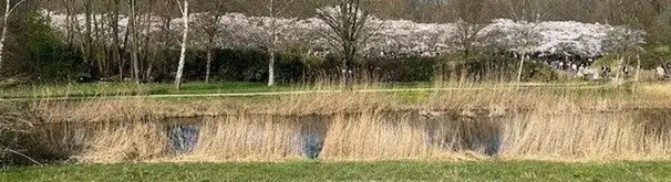 Huurwoning Foto #3 te huur bij Huurstunt