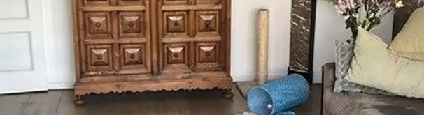 Appartement Foto #2 te huur bij Huurstunt