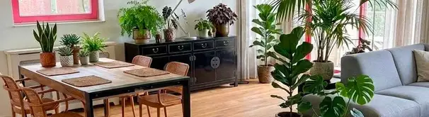 Appartement Foto #1 te huur bij Huurstunt