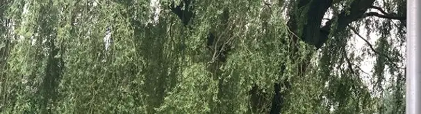 Appartement Foto #3 te huur bij Huurstunt