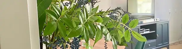 Appartement Foto #1 te huur bij Huurstunt