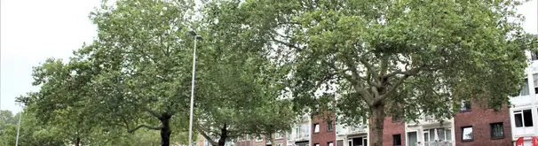 Appartement Foto #1 te huur bij Huurstunt