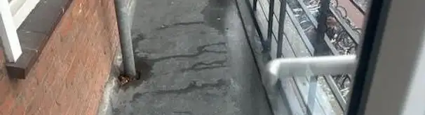 Appartement Foto #2 te huur bij Huurstunt