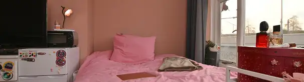 Kamer Foto #2 te huur bij Huurstunt