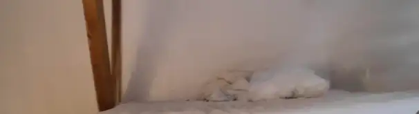 Kamer Foto #3 te huur bij Huurstunt