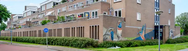 Appartement Foto #1 te huur bij Huurstunt