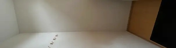 Appartement Foto #2 te huur bij Huurstunt