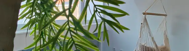 Kamer Foto #1 te huur bij Huurstunt