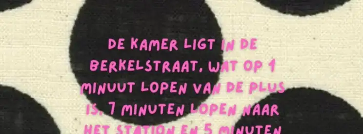 Foto #3 Kamer Berkelstraat Groningen