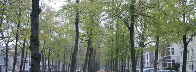 Foto #2 Appartement Maliebaan Utrecht