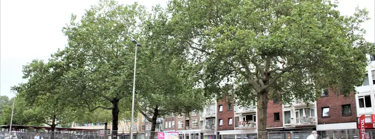 Foto #2 Huurwoning Velperpoortslangstraat Arnhem