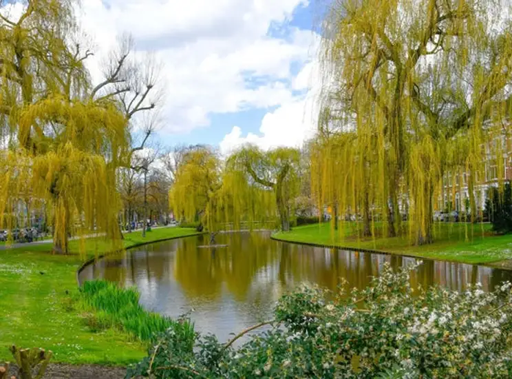 Foto #0 Appartement Spoorsingel Rotterdam