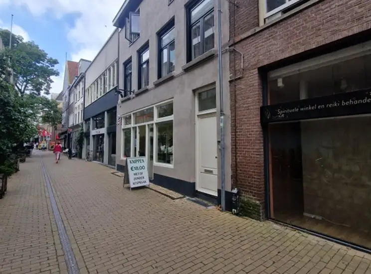 Foto #0 Appartement Roggenstraat Zwolle