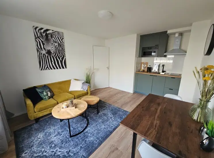 Foto #0 Appartement Rooseveltlaan Utrecht