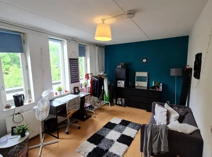 Foto #0 Kamer Coranthijnestraat Groningen