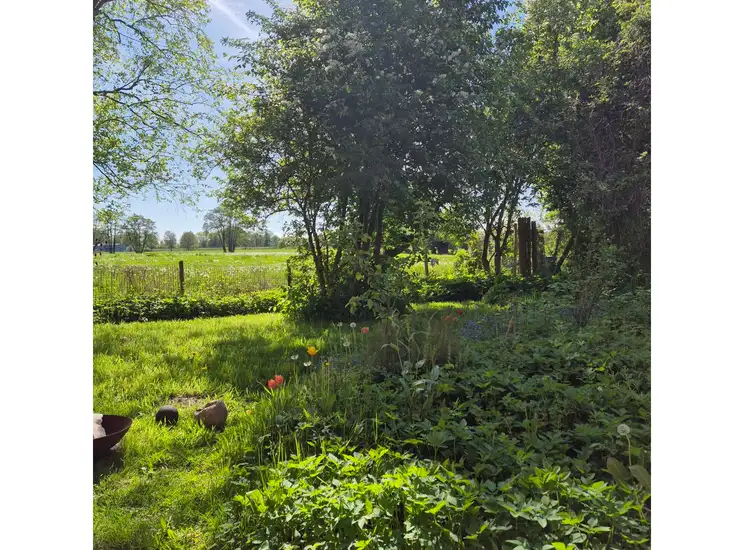 Foto #0 Kamer Zutphensestraat Brummen