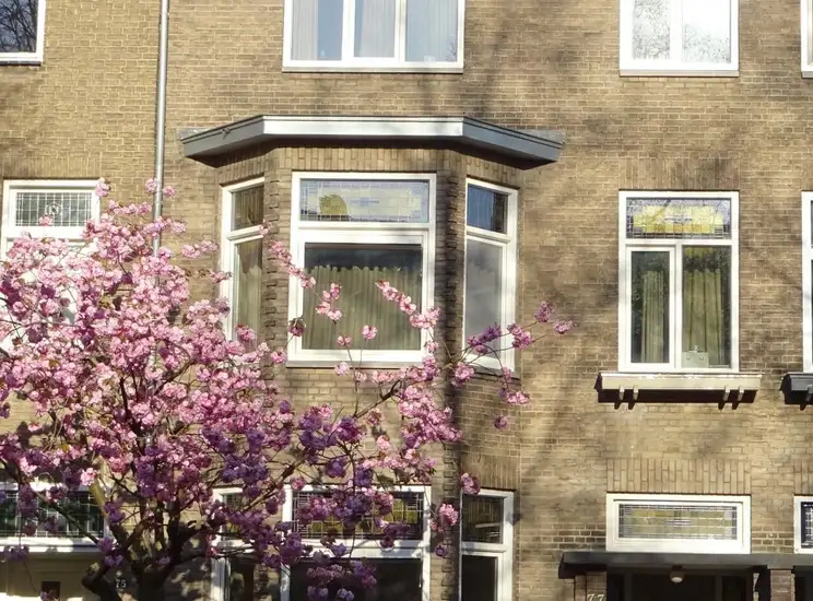 Foto #0 Appartement Koning Clovisstraat Maastricht