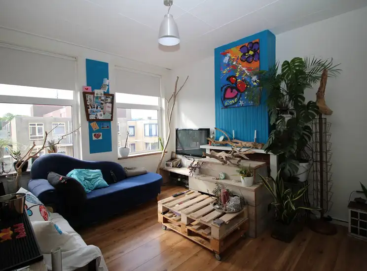 Foto #0 Appartement Pluvierstraat Den Haag