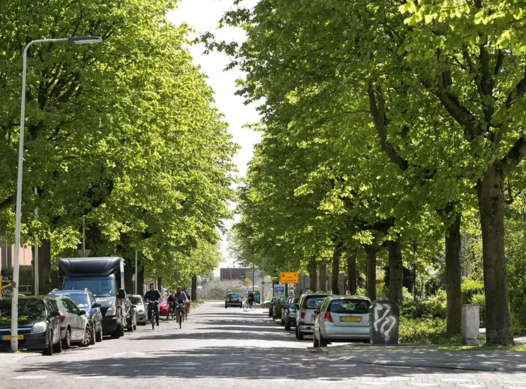 Foto #0 Kamer Van Oldenbarneveldtstraat Arnhem