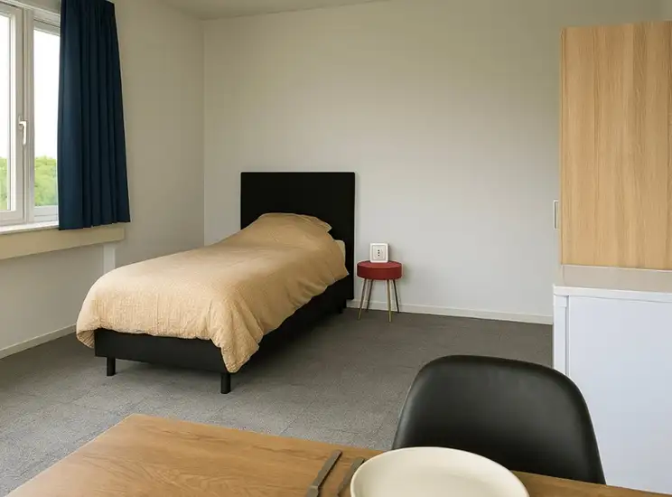 Foto #0 Kamer Polakweg Rijswijk