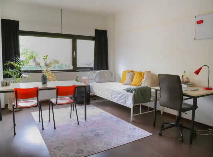 Foto #0 Studio Bomansplaats Eindhoven