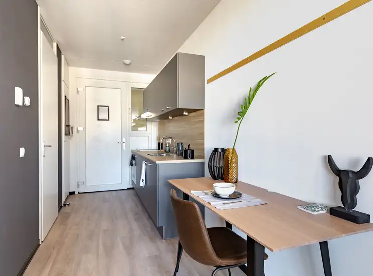 Foto #0 Studio Reykjavikstraat Utrecht