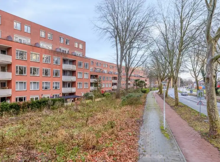 Foto #0 Appartement Suze Groenewegplantsoen Amsterdam