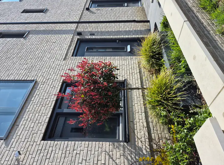 Foto #0 Huurwoning Stijging Eindhoven