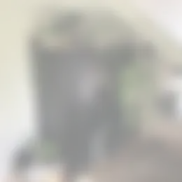 Kamer Foto #0 te huur bij Huurstunt