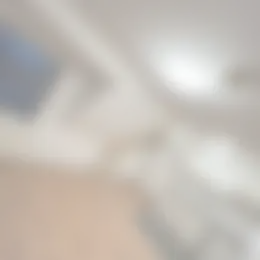 Studio Foto #0 te huur bij Huurstunt