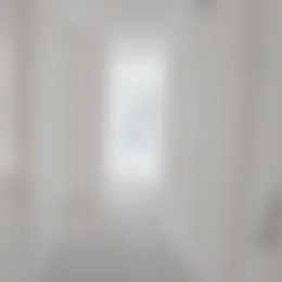 Foto #1 Appartement Van Rijtstraat Rijswijk