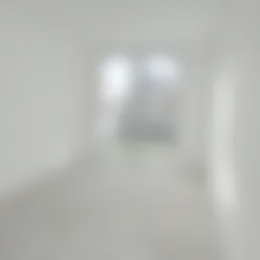 Foto #4 Appartement Van Rijtstraat Rijswijk