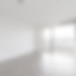 Foto #3 Appartement Spaklerweg Amsterdam