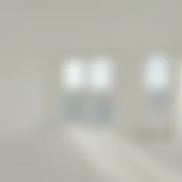 Foto #3 Appartement Van Rijtstraat Rijswijk