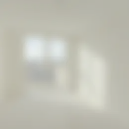 Foto #4 Appartement Van Rijtstraat Rijswijk