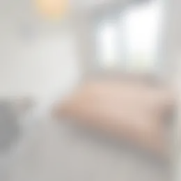Foto #18 Appartement Delftweg Rijswijk