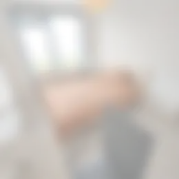 Foto #19 Appartement Delftweg Rijswijk