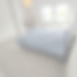 Foto #41 Appartement Delftweg Rijswijk